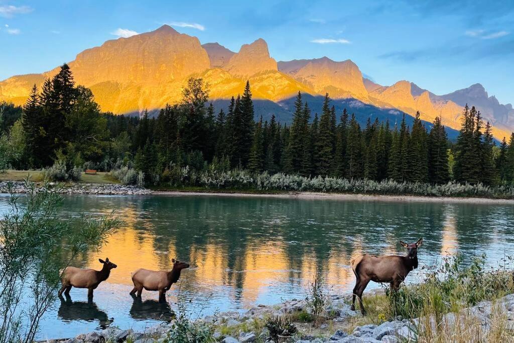 Unit #301 Mountain View 1Br In Canmore Down Town Екстер'єр фото